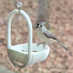 a bird sitting on top of a white feeder hanging from it's side,