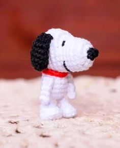 a small white and black dog with a red collar on it's neck is standing in the sand