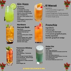 a poster with different types of alcoholic drinks in it's glasses and names on the side