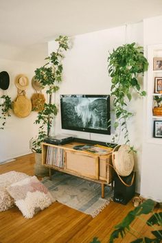 a flat screen tv sitting on top of a wooden stand in front of a plant