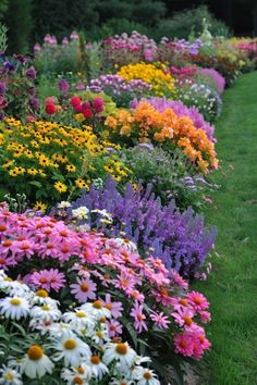 many different types of flowers in the grass