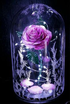 a pink rose in a glass dome with some lights on the bottom and leaves around it