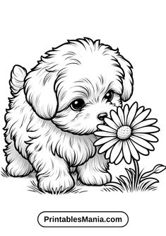 a puppy with a flower in its mouth coloring pages printable for kids and adults