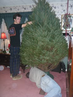 a man standing next to a large green tree on top of a pink carpeted floor