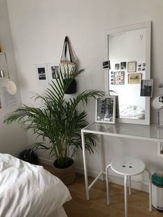 a bedroom with a plant and mirror on the wall next to a bed in front of it