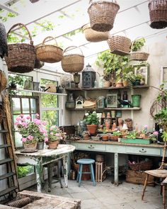 a room filled with lots of potted plants