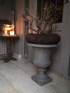 a large potted plant sitting on top of a stone floor next to a door