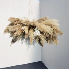 a dried plant hanging from a rope in a room with white walls and blue carpet