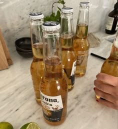 several bottles of corona beer sitting on a counter next to limes and other fruit