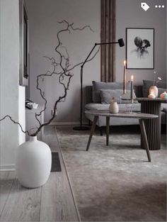 a living room filled with furniture and a tree branch in the middle of the room