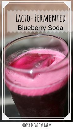 blueberry soda in a glass with the text lacto - fermented blueberry soda