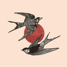 two birds are flying in front of a red sun on a pink background with black and white lines