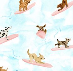 an image of dogs on surfboards in the water