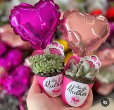 two small pots with succulents and heart shaped balloons