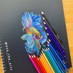 colored pencils are next to a drawing of a goldfish on a black paper