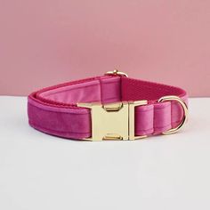 a pink dog collar with gold hardware