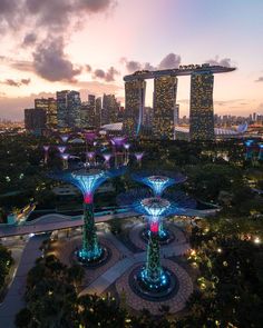 an aerial view of the gardens by night in singapore, with lights on trees and skyscrapers