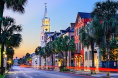 palm trees line the street in front of buildings with a clock tower on top at dusk