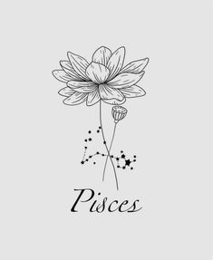 a black and white drawing of a flower with the word pisces on it