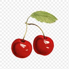 two cherries with green leaves on the top and one red cherry on the bottom