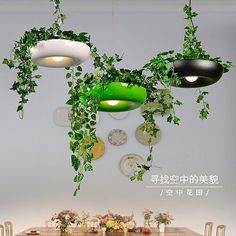 an image of a dining room setting with plants hanging from the ceiling