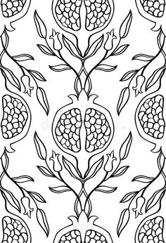 a black and white drawing of pomegranates on a white background stock photo