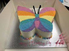 there is a cake shaped like a butterfly in the shape of a rainbow on display