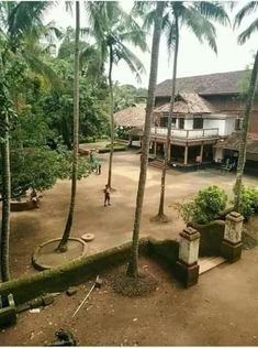 an aerial view of a house surrounded by palm trees and people walking in the yard