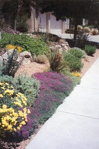 a garden with yellow and purple flowers next to a sidewalk in front of a house