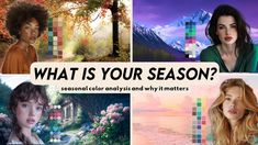 Seasonal Color Palettes: Your Best Blues | Gabrielle Arruda Wardrobe Color Palette, True Spring Color Palette, Color Analysis Summer, True Spring Colors, Color Harmonies, Color Science, Colour Analysis, Clear Spring