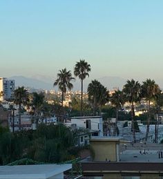 an airplane is flying in the sky over some buildings and palm trees with mountains in the background