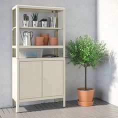 a potted plant sitting on top of a wooden shelf next to a white cabinet