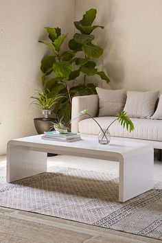 a living room with a couch, coffee table and potted plant