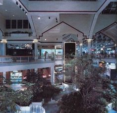 an indoor mall filled with lots of plants and trees