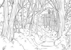 a black and white drawing of a path in the woods