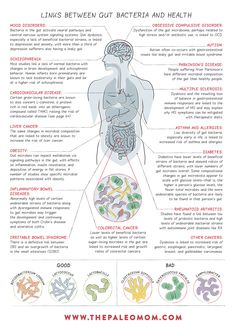 Fitness Snacks, The Paleo Mom, Human Biology, Paleo Mom, Gut Brain, Gut Bacteria, Gut Healing, Gut Microbiome, Central Nervous System