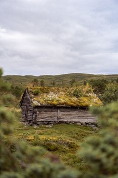 an old log cabin with moss growing on it's roof in the middle of nowhere