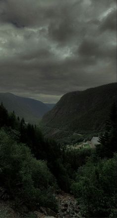 a train traveling through a lush green forest under a cloudy sky with mountains in the background