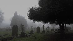 an old cemetery with tombstones and trees on a foggy day