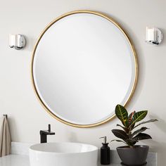 a white sink sitting under a round mirror next to a potted plant on top of a counter