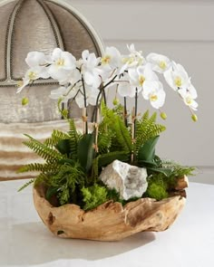 a potted plant sitting on top of a table