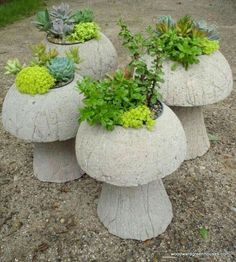 three cement planters with succulents and plants in them on the ground