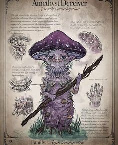 Mushroom Creature, Amethyst Deceiver, Illustration Fantasy, The Witches, Creature Drawings