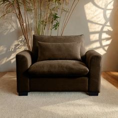 a brown chair sitting in front of a plant