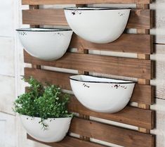 three white bowls are hanging on a wooden rack with plants in them and one is empty