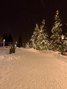 a snow covered hill with trees lit up at night