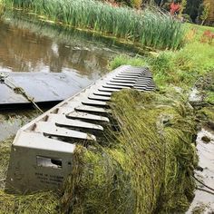 there are several boats that have been placed in the water and grass is growing around them