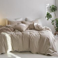 an unmade bed in a white room with a potted plant next to it