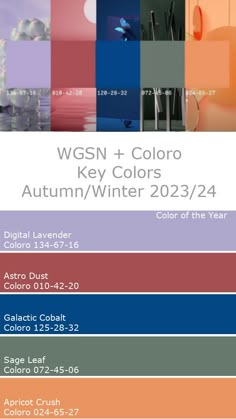 the color scheme for wgn + color key colors autumn / winter 2012 / 2014