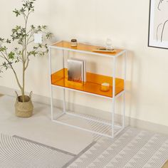 a white and orange shelf next to a potted plant in a room with a rug on the floor